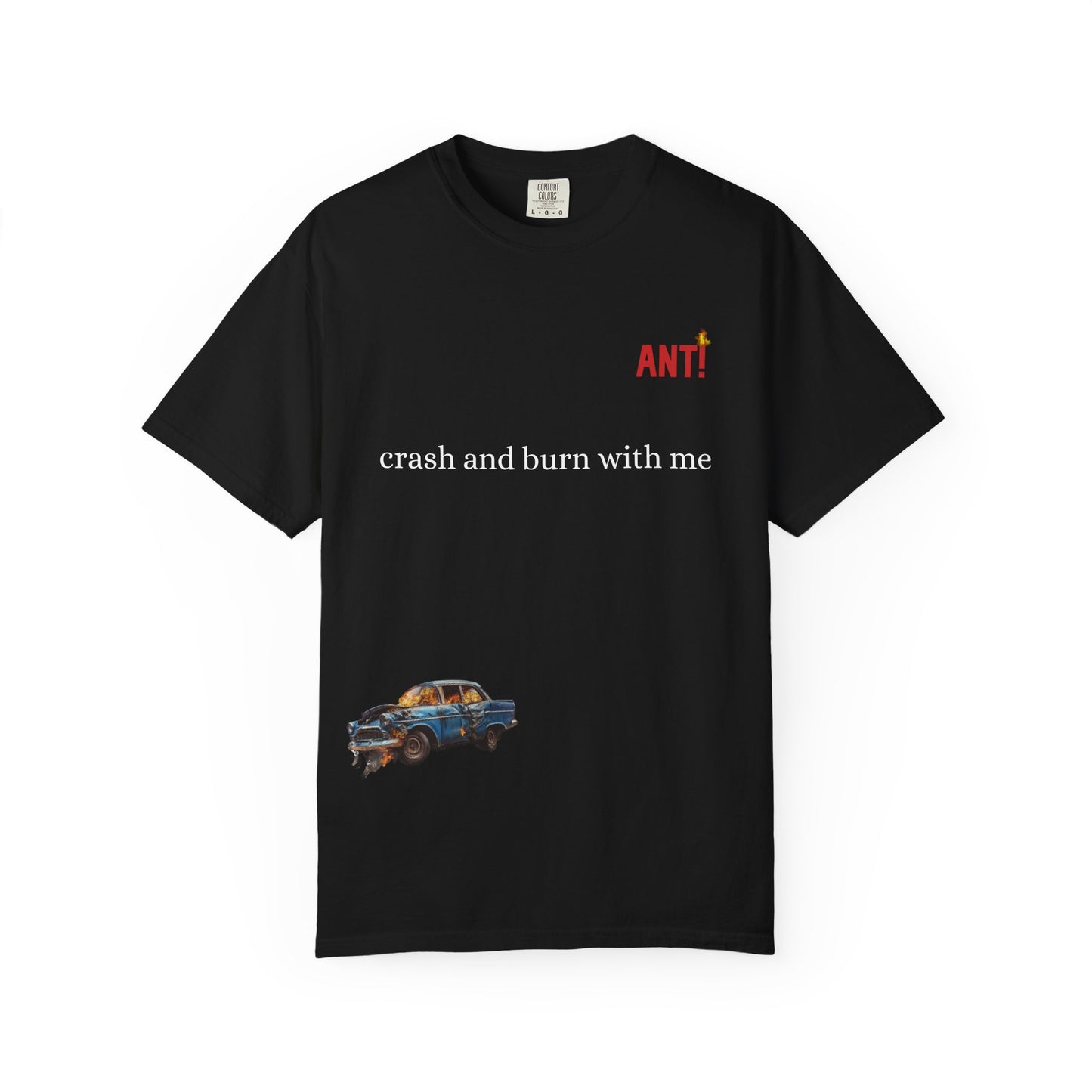 CRASH AND BURN ANT!
