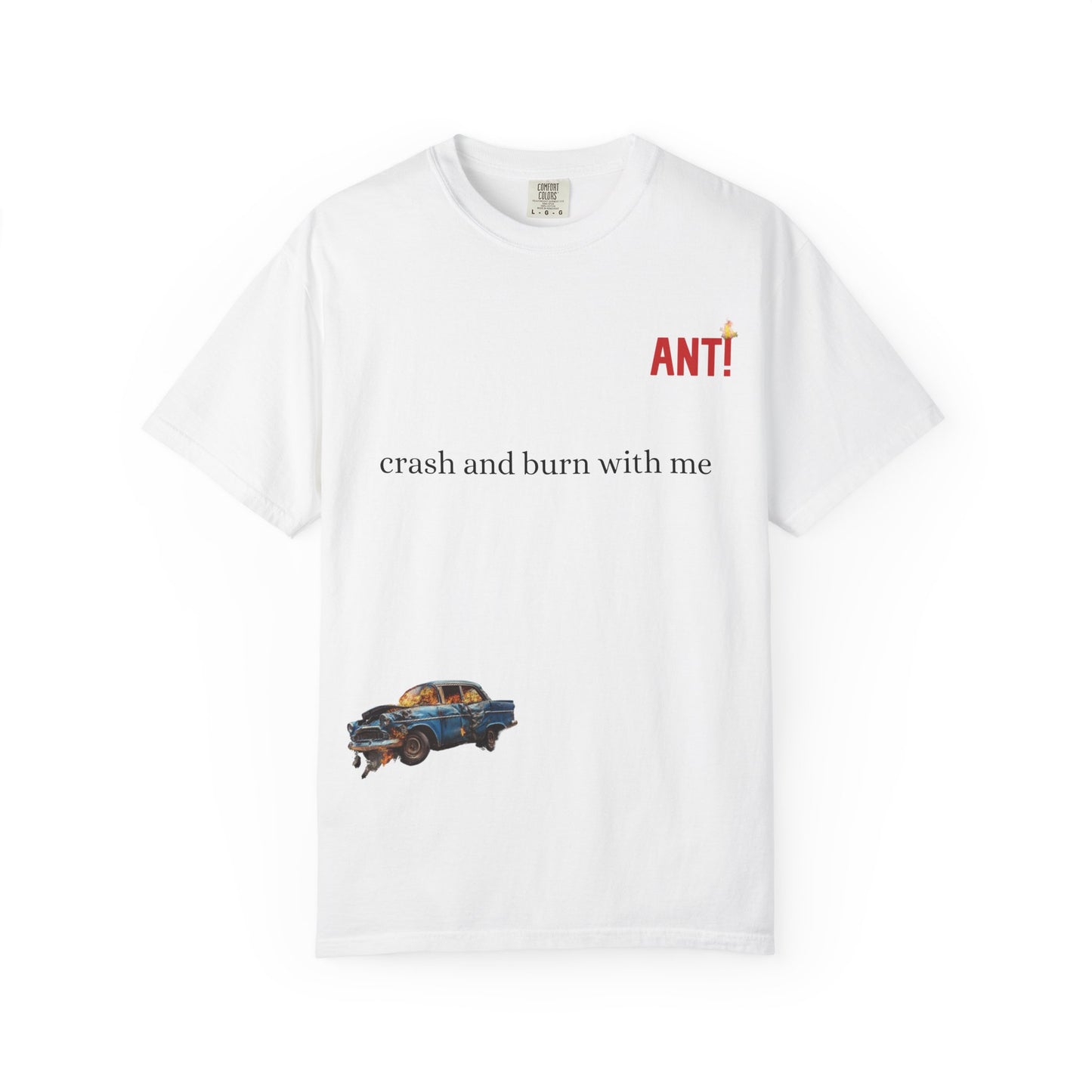 CRASH AND BURN ANT!