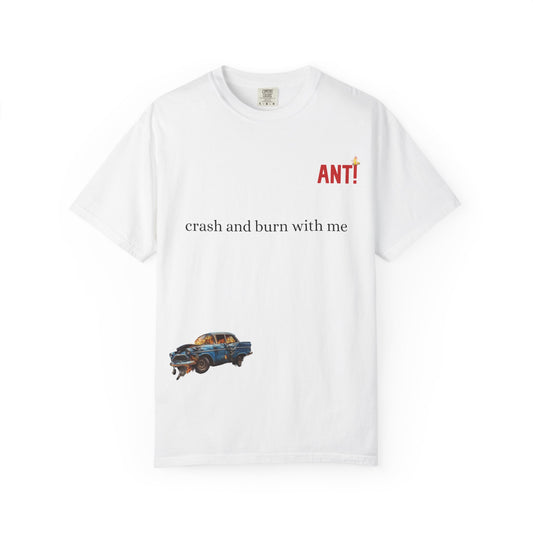 CRASH AND BURN ANT!