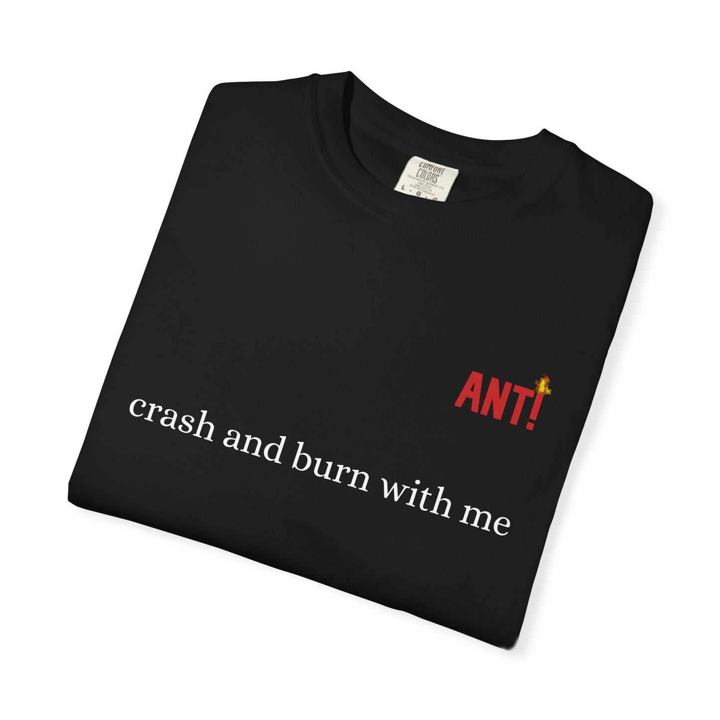 CRASH AND BURN ANT!