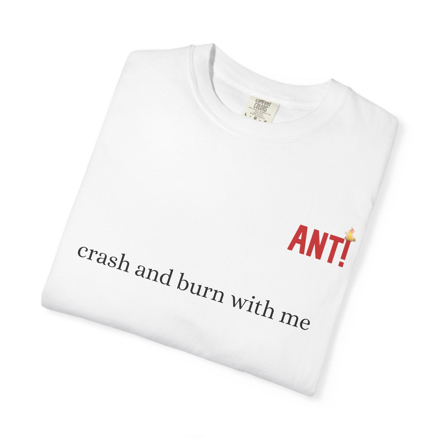 CRASH AND BURN ANT!